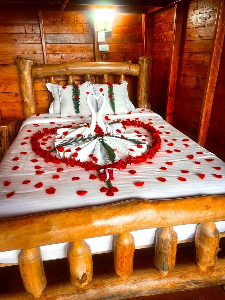Gallery Title Here